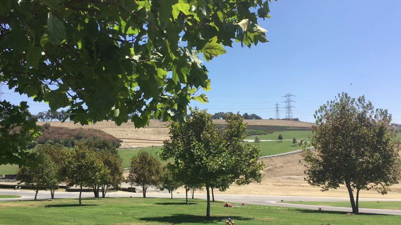Workman Mill Road And Rose Hills Gravity Hill