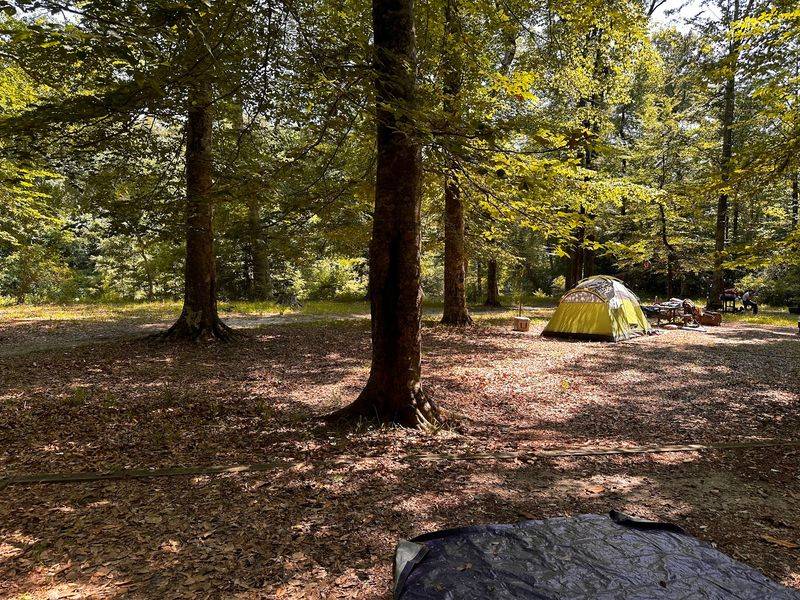 Consider A Primitive Campsite