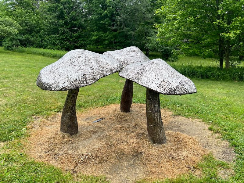 Griffis Sculpture Park