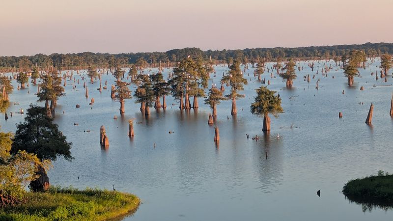 The Interstate Floats Above Louisiana’s Wildest Miles