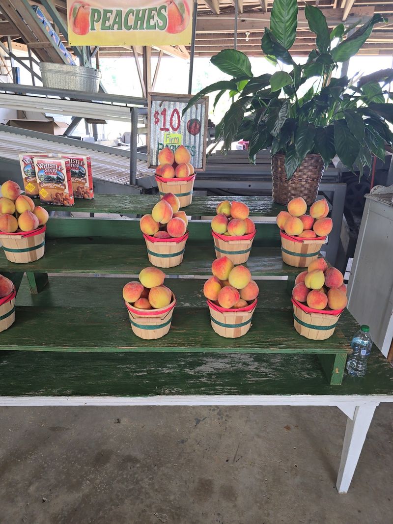 The Lawson Family Has Been Growing Peaches Here For Generations