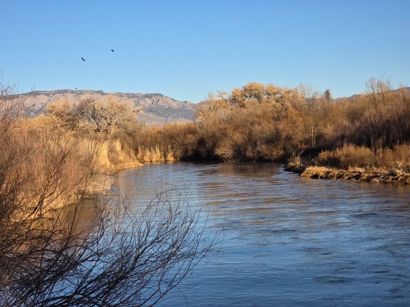 Rio Grande Valley