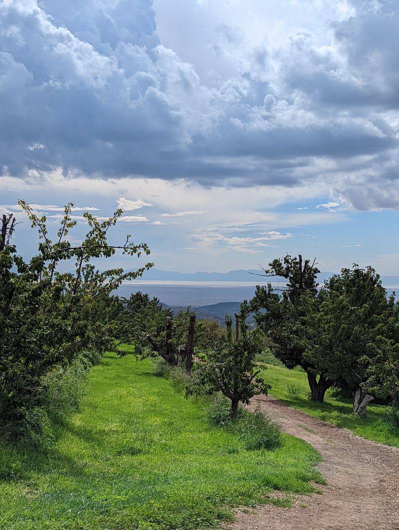 The Views Open Up Beyond The Apple Trees