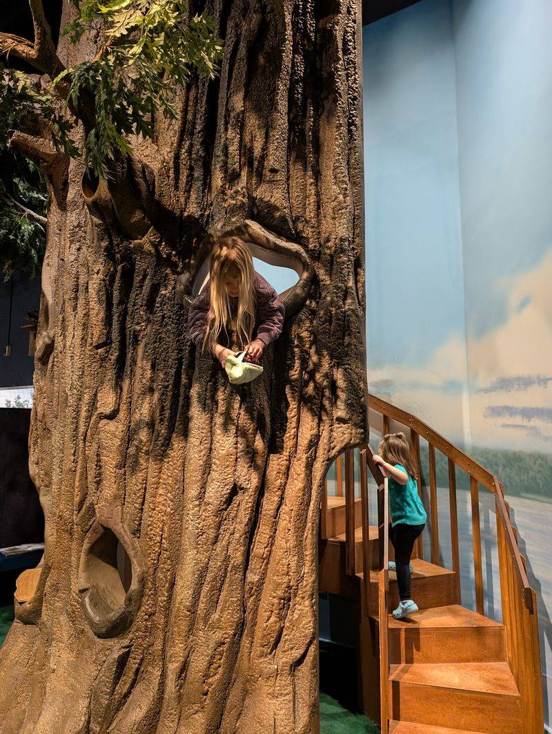 Putnam Museum And Science Center, Davenport