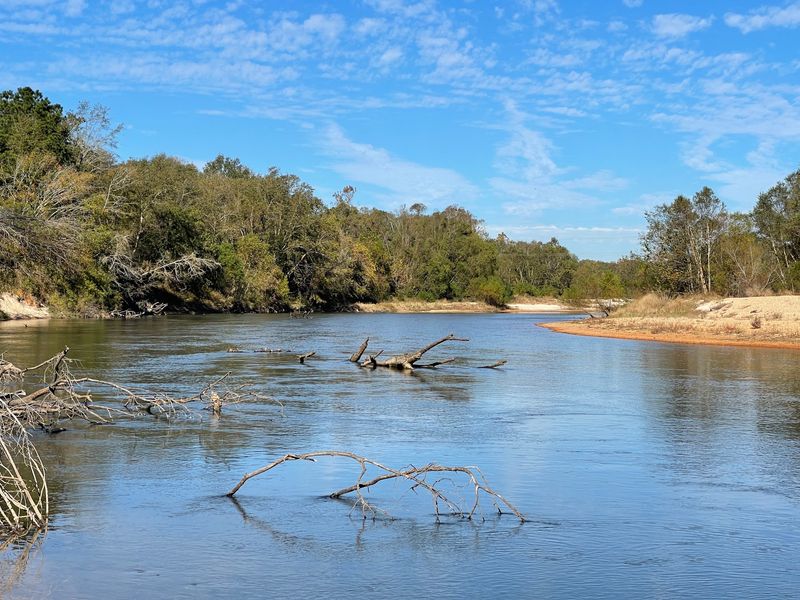Bogue Chitto State Park