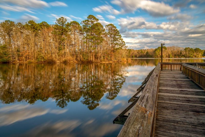 Jimmie Davis State Park