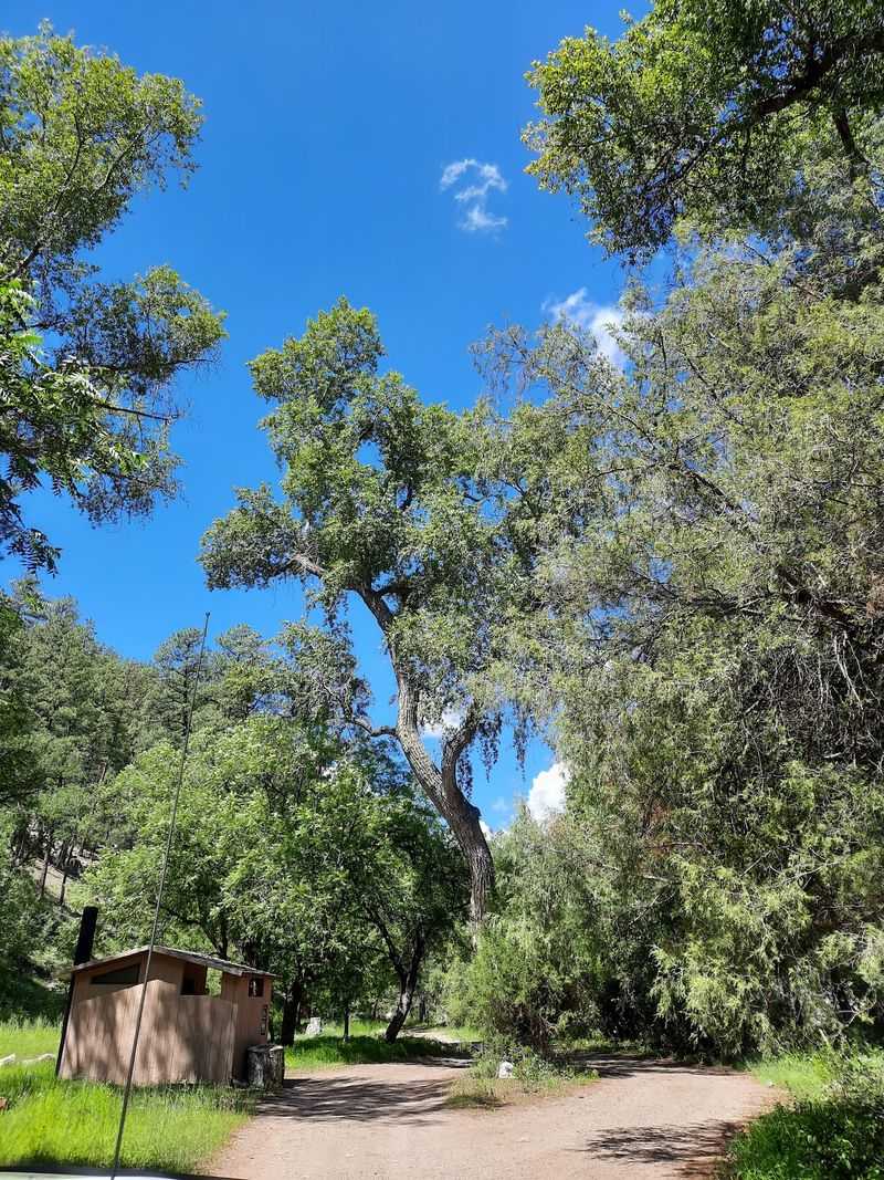 Cottonwood Canyon Campground