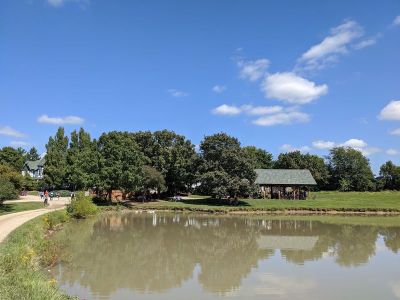 Ponds, Willows, Ducks, And Geese