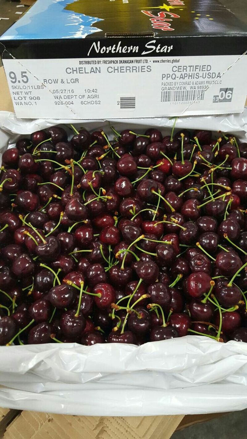 Chelan Cherries