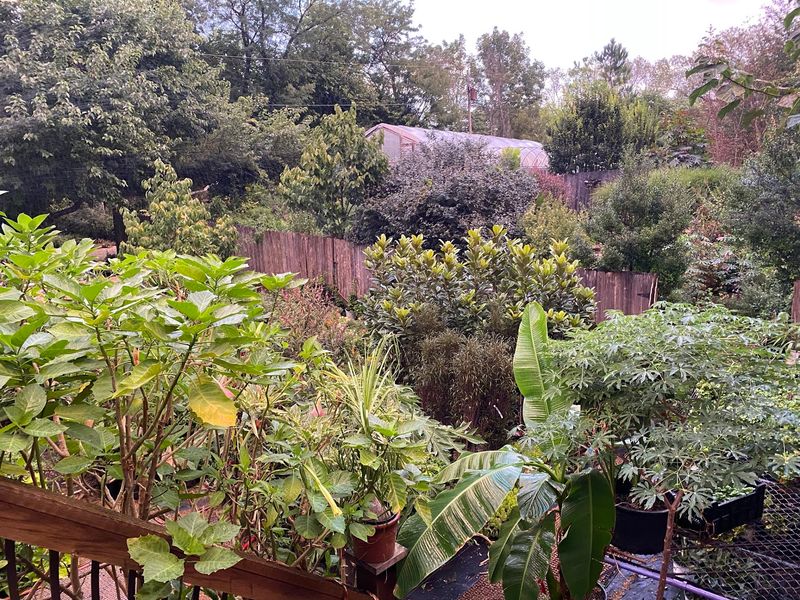 Shipping, Landscaping And Repeat Visits