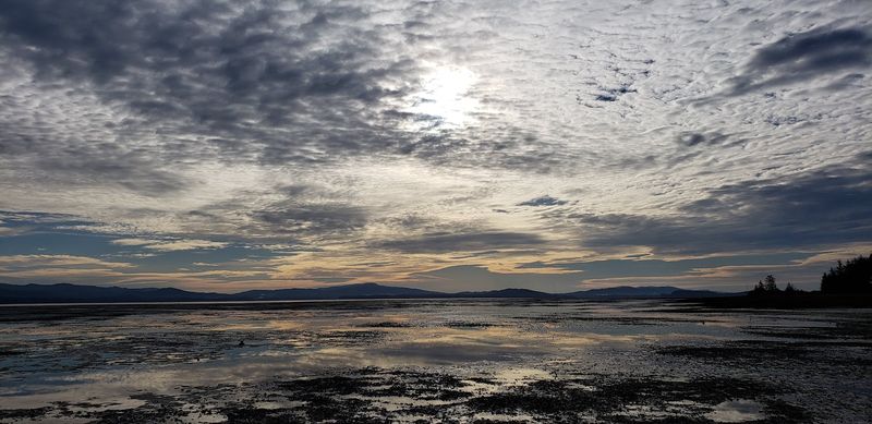 Willapa Bay Gives This Small City A Genuine Coastal Connection