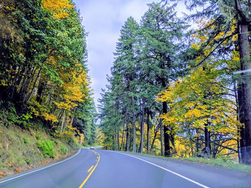 Highway 101 Keeps The Ocean And Nearby Towns Within Easy Reach