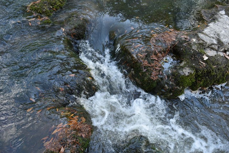 Learn Why The Water Looks So Different