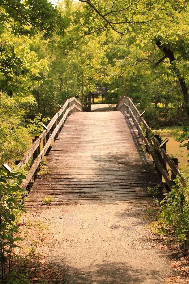 Walk The Raised Nature Trails