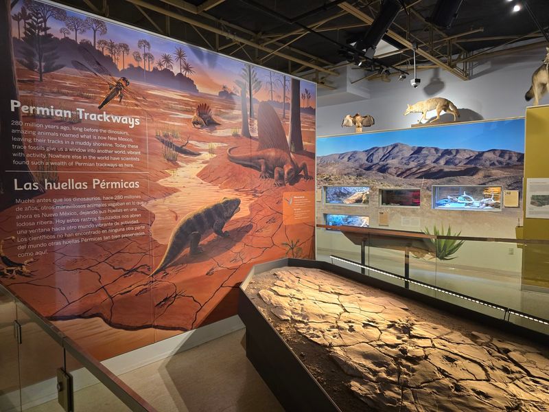 Museum of Nature & Science, Las Cruces