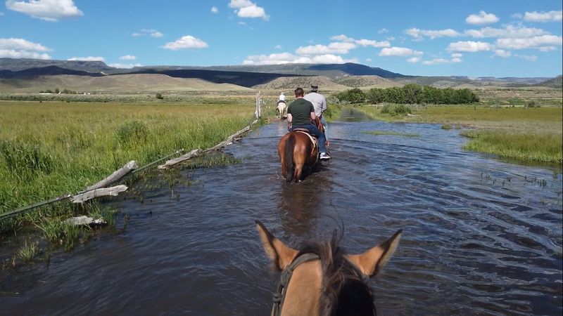 Rockin' R Ranch, Antimony