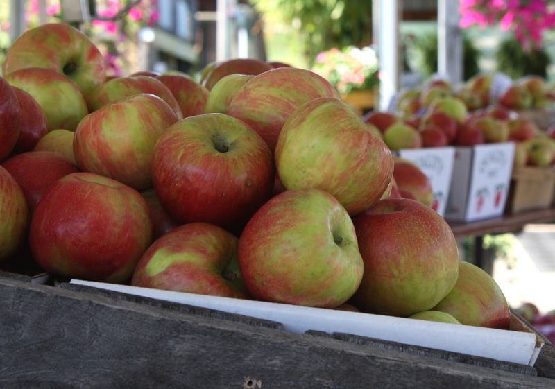 Weaver's Orchard (Morgantown)
