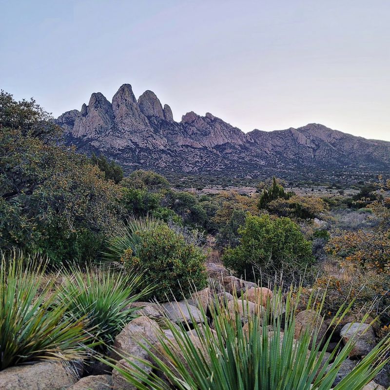 Aguirre Spring Campground