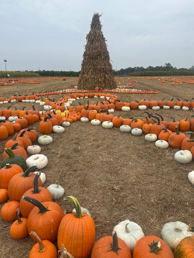 Shady Brook Farm