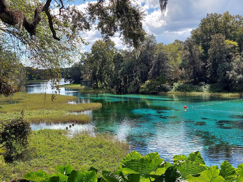 Rainbow Springs State Park