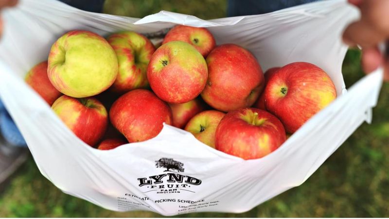 Lynd Fruit Farm (Utica)