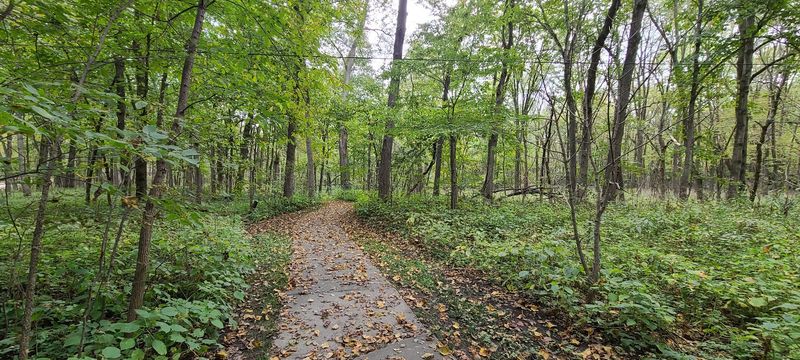 Middle River County Park, Winterset