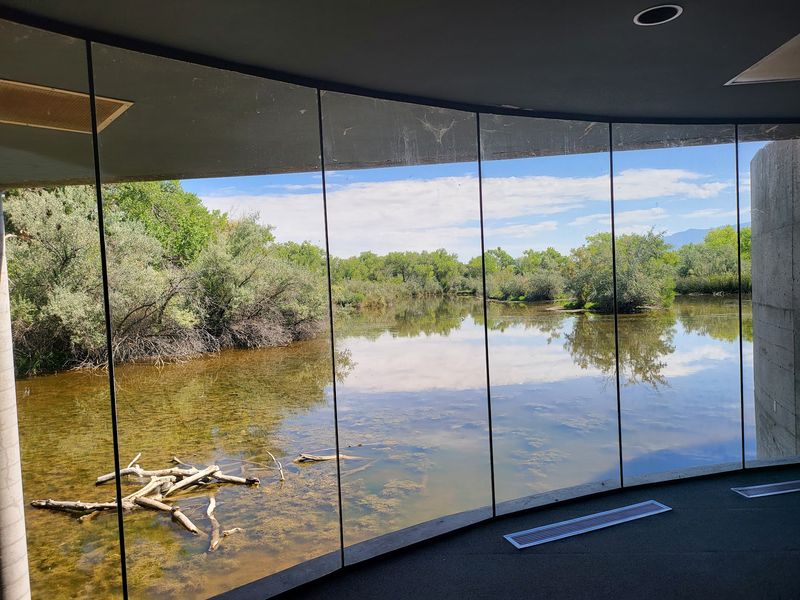 Rio Grande Nature Center State Park, Albuquerque