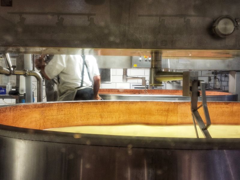 Watching Cheese Come to Life Through the Window