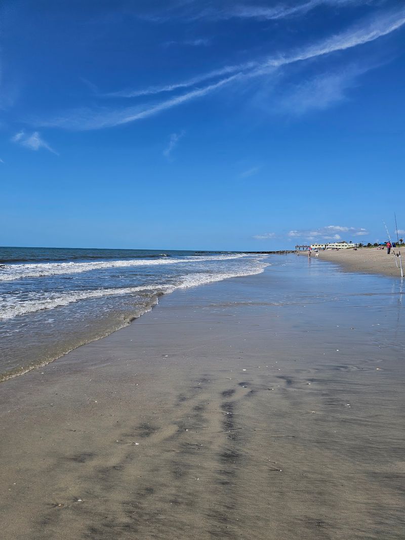 Keyhole Sand Dollars Give Beachcombers Another Detail To Watch For