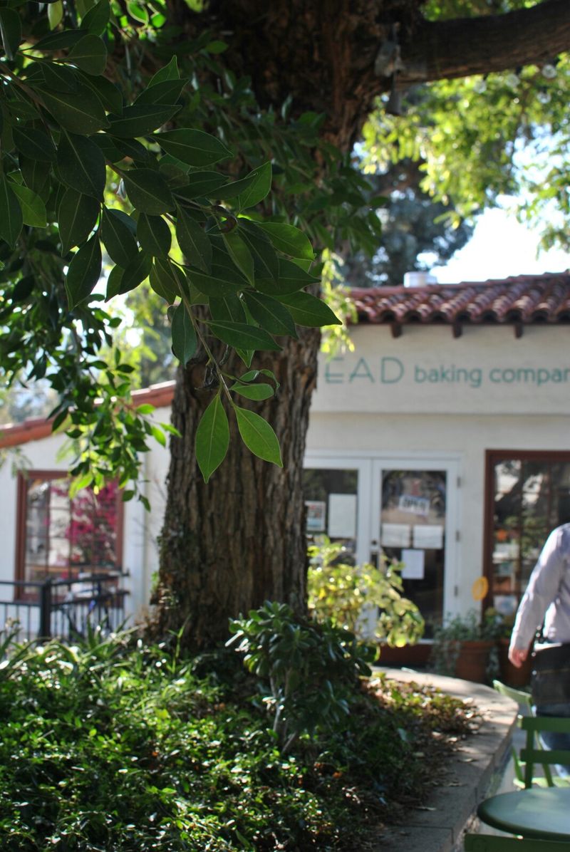 The Shady Outdoor Patio