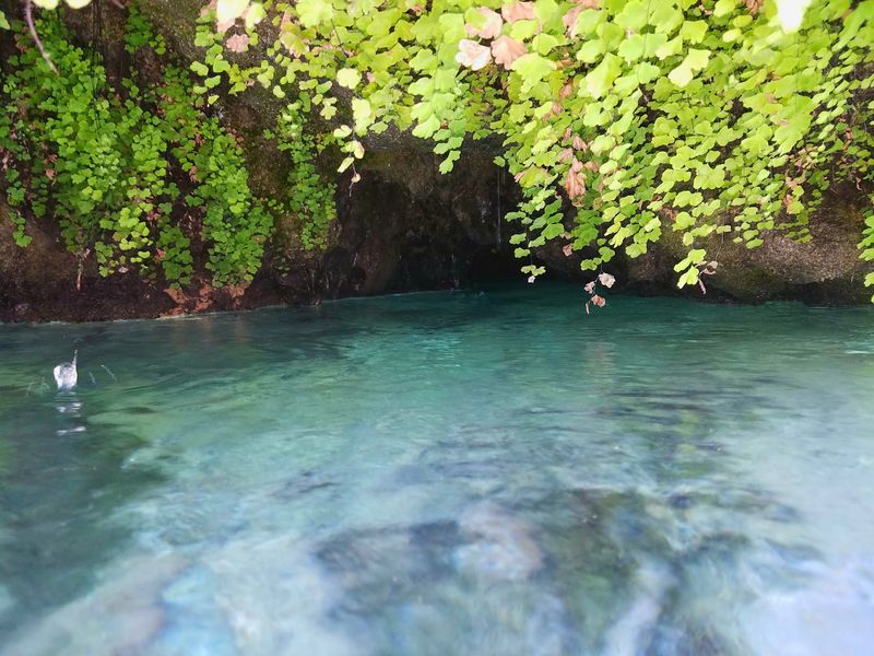 Gandy Warm Springs, Near Gandy