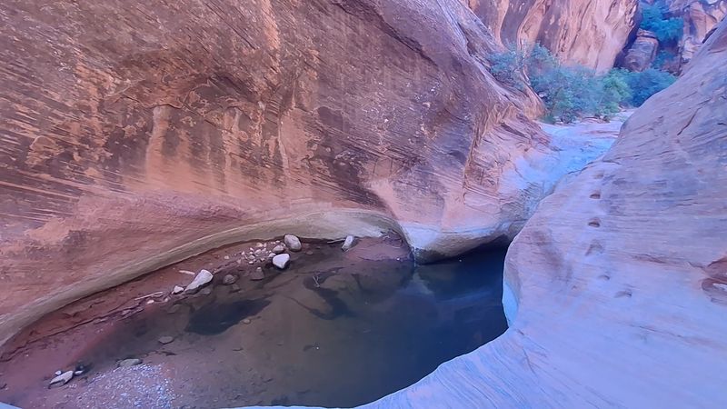Water Levels Shift, So Time Your Trip Honestly