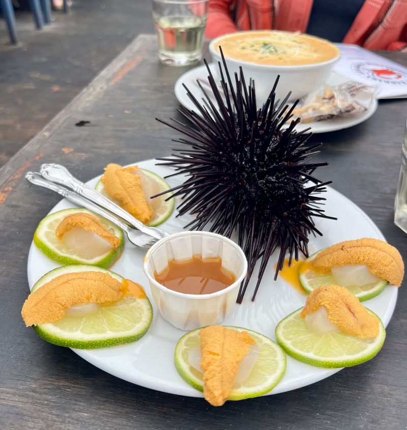 The Sea Urchin That Steals the Show