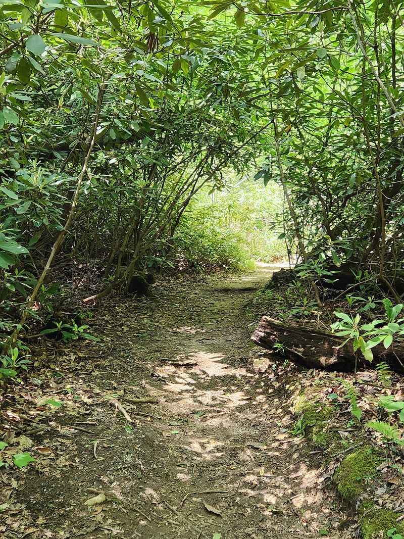 The Ranger Station Puts The Trailhead Right Within Reach