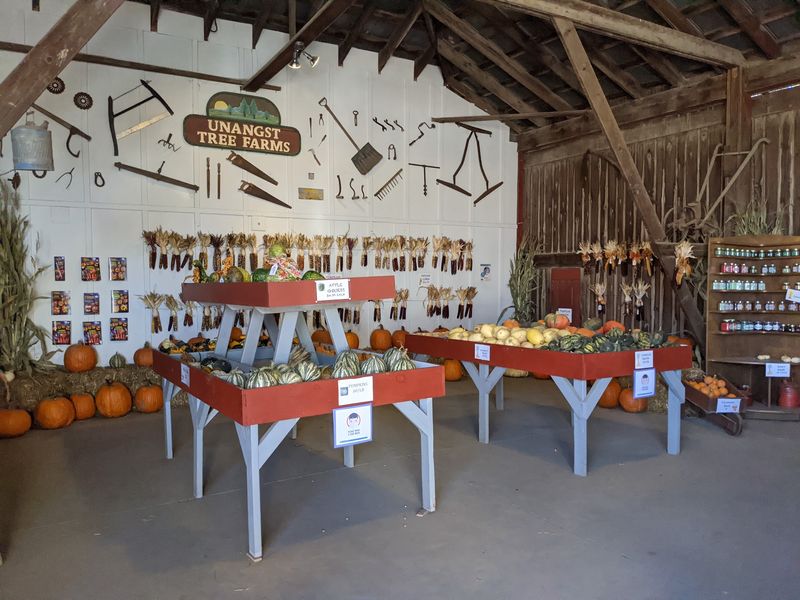 Unangst Tree Farms