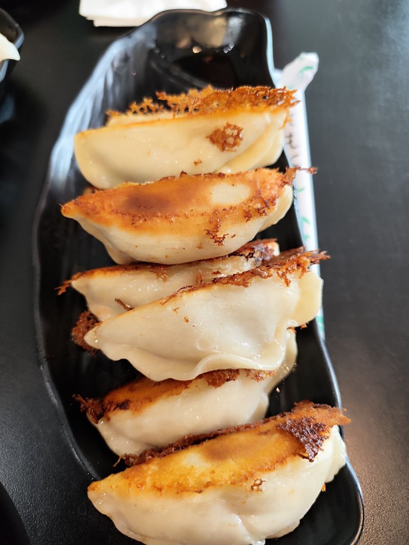 Crispy Pan-Fried and Boiled Pork Dumplings