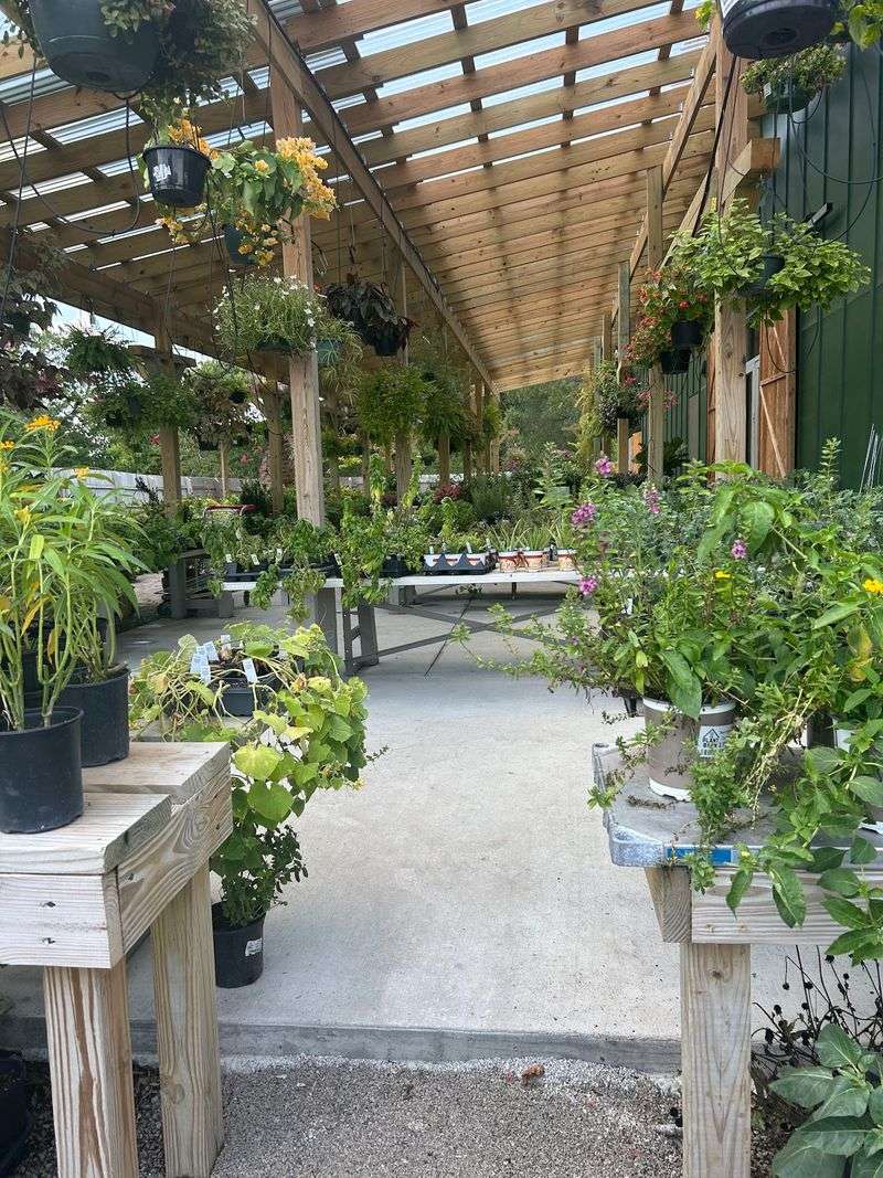 Ask For Yard Specific Advice