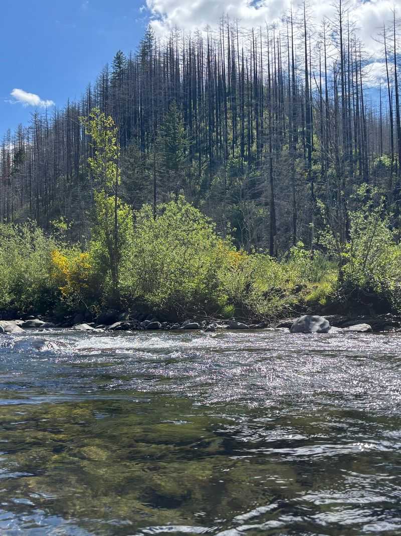Molalla River