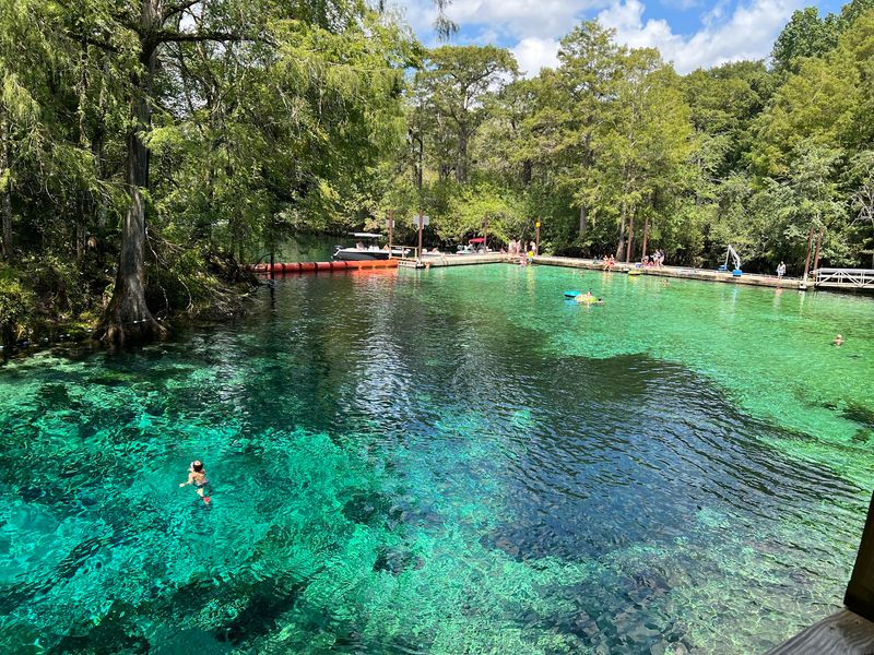 Fanning Springs State Park, Fanning Springs