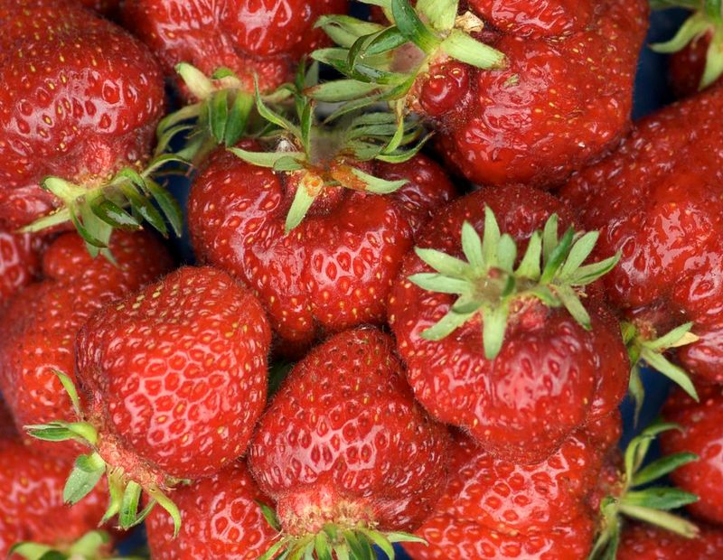 Shuksan Strawberries
