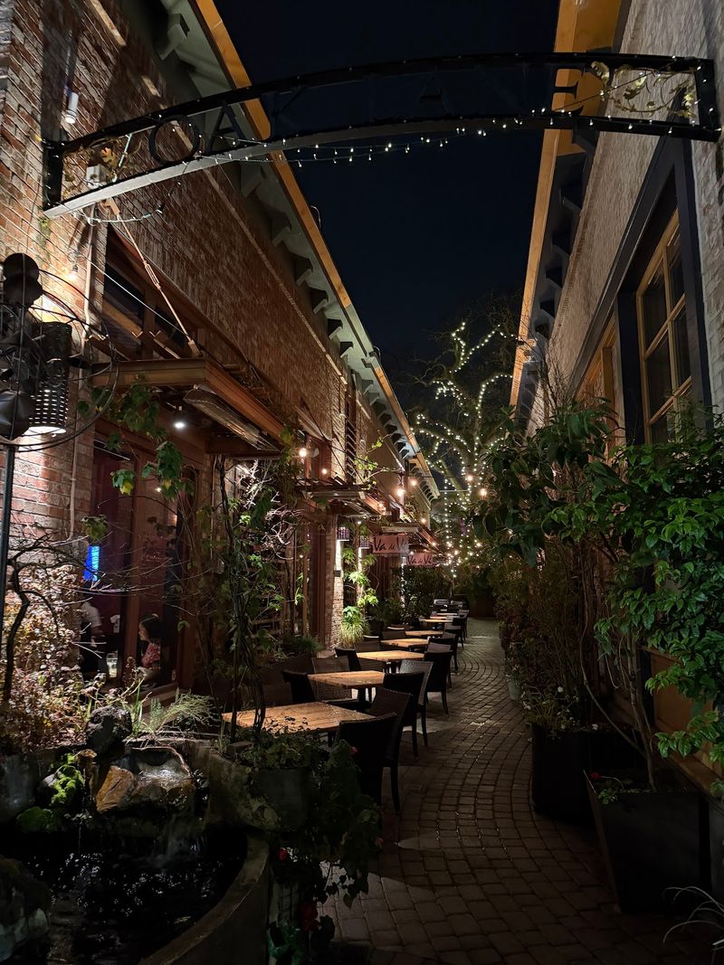 The Patio Under the Great Tree