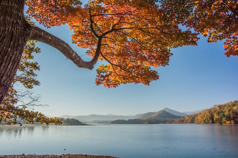 The Calendar Eventually Gives The Lake Room To Breathe