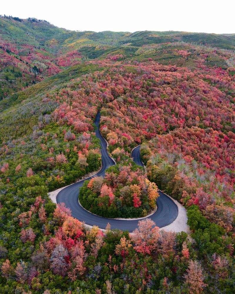 Wasatch Mountain State Park, Midway