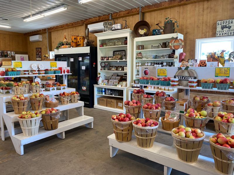 Mt. Airy Orchards (Dillsburg, York County)
