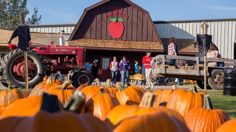Deal's Orchard, Jefferson