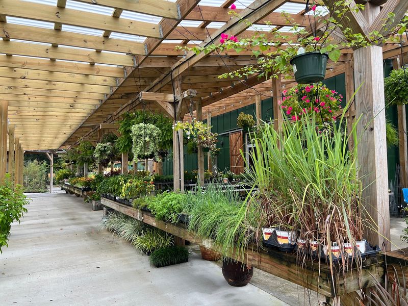 Shop For Louisiana Friendly Plants