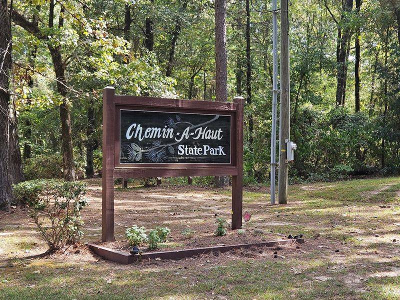 Loop Park Road Makes The Final Turn Into The Pines