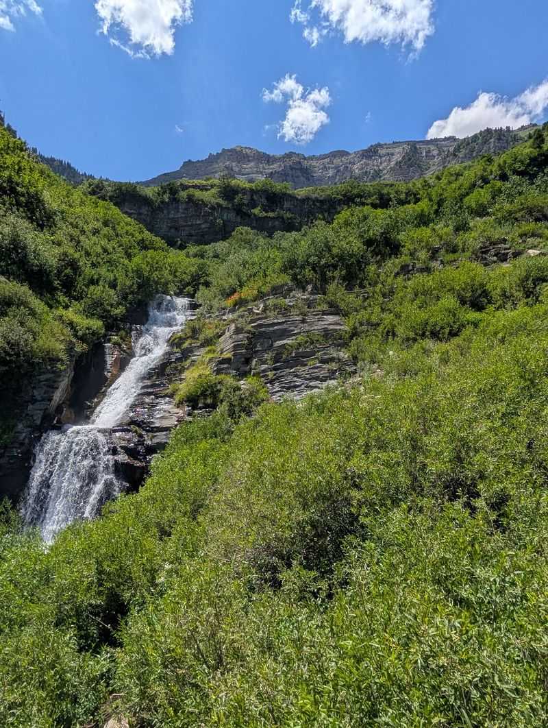 Timpanogos Falls Trail