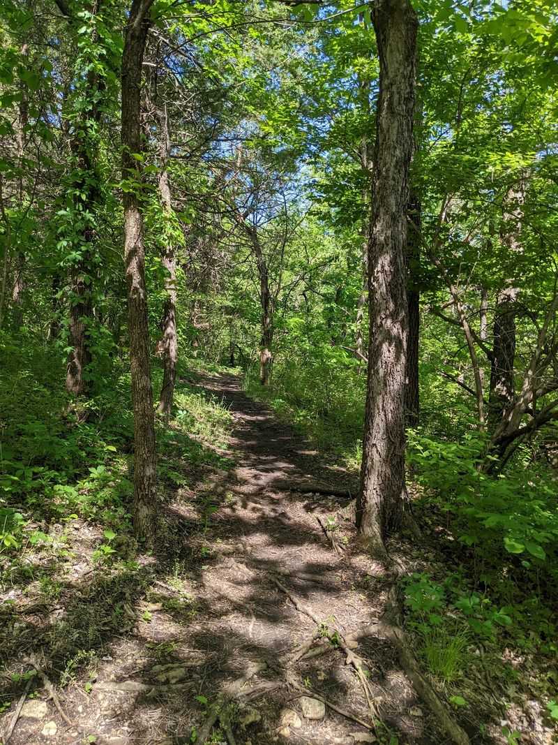 Miles Of Singletrack That Mountain Bikers Travel For