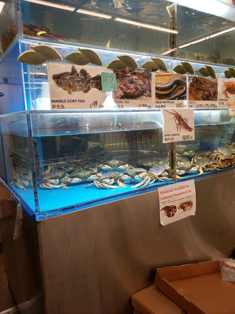 Watch The Live Tanks First